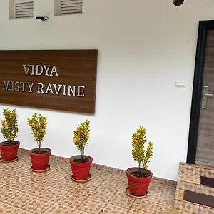 Vidya Misty Ravine Resort